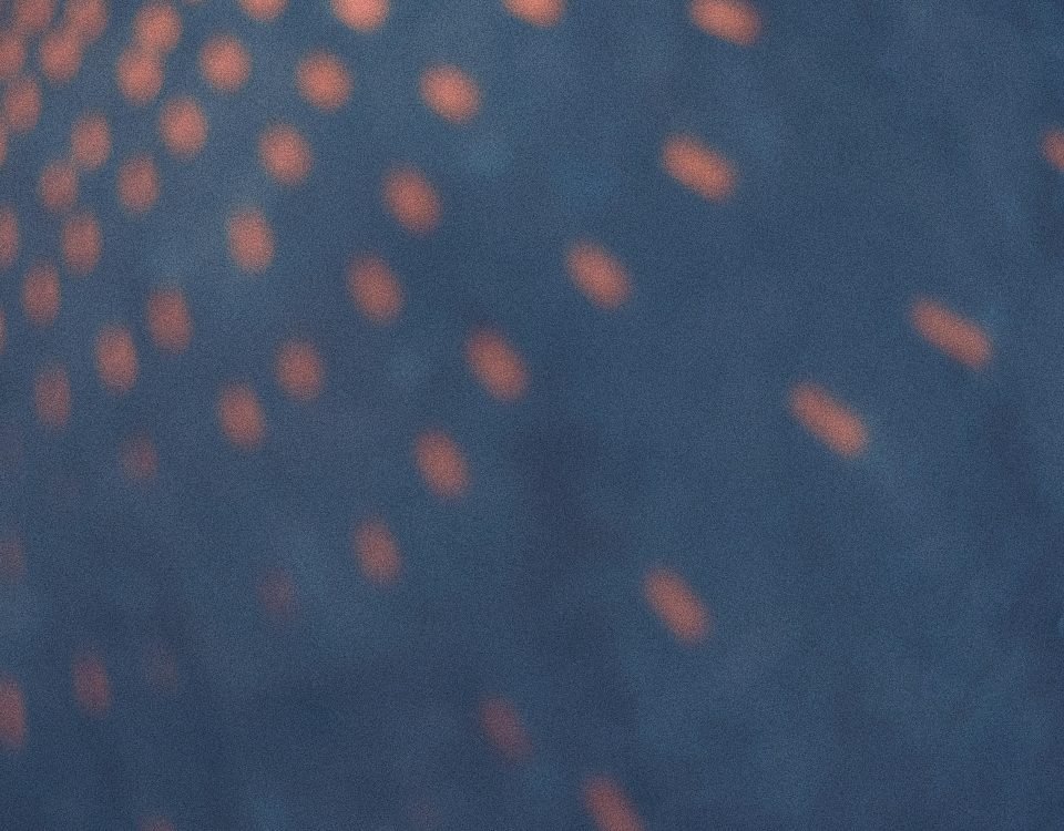 Blurred abstract pattern featuring vibrant orange dots on a cool dark background.